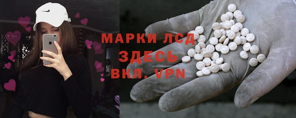 твердый Арсеньев