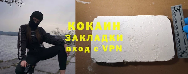 твердый Арсеньев
