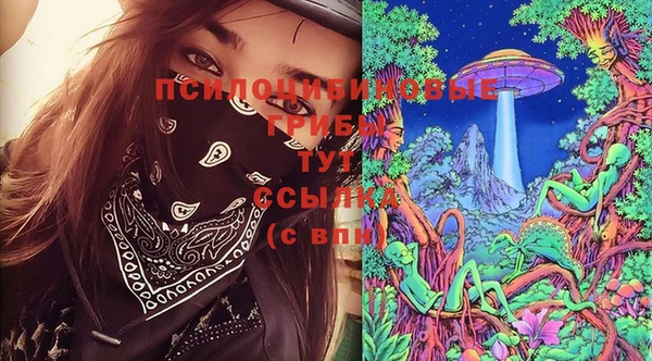 твердый Арсеньев