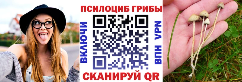 Галлюциногенные грибы GOLDEN TEACHER  Фролово 